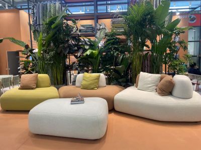 furniture showing